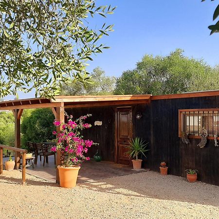 Preciosa Casa De Madera, Andalucia Villa Prado Del Rey Exterior photo